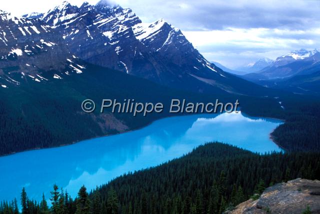 canada alberta 23.JPG - Lac PeytoRocheuses canadiennesAlbertaCanada